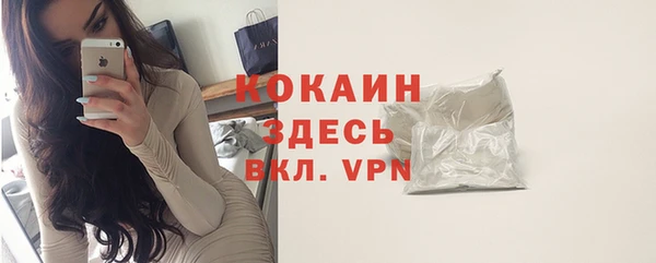 твердый Алексеевка