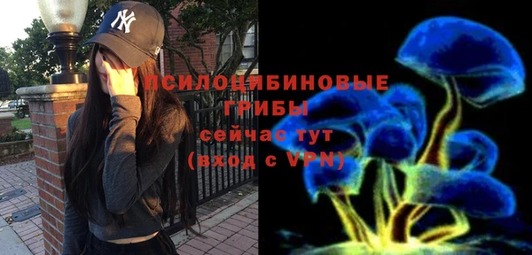 твердый Алексеевка