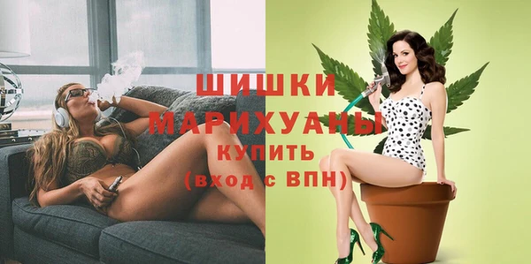 винт Елабуга